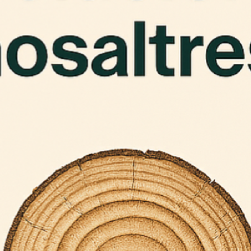 El sector del moble evoluciona… i nosaltres amb ell